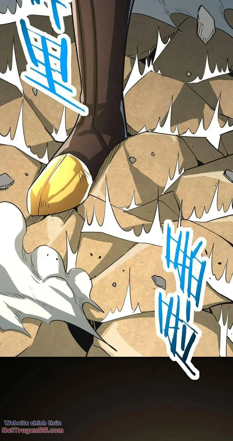 Chapter 81