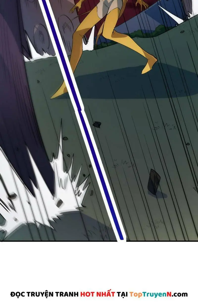 Chapter 74