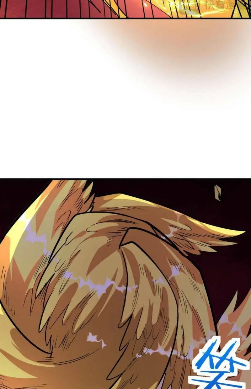 Chapter 74