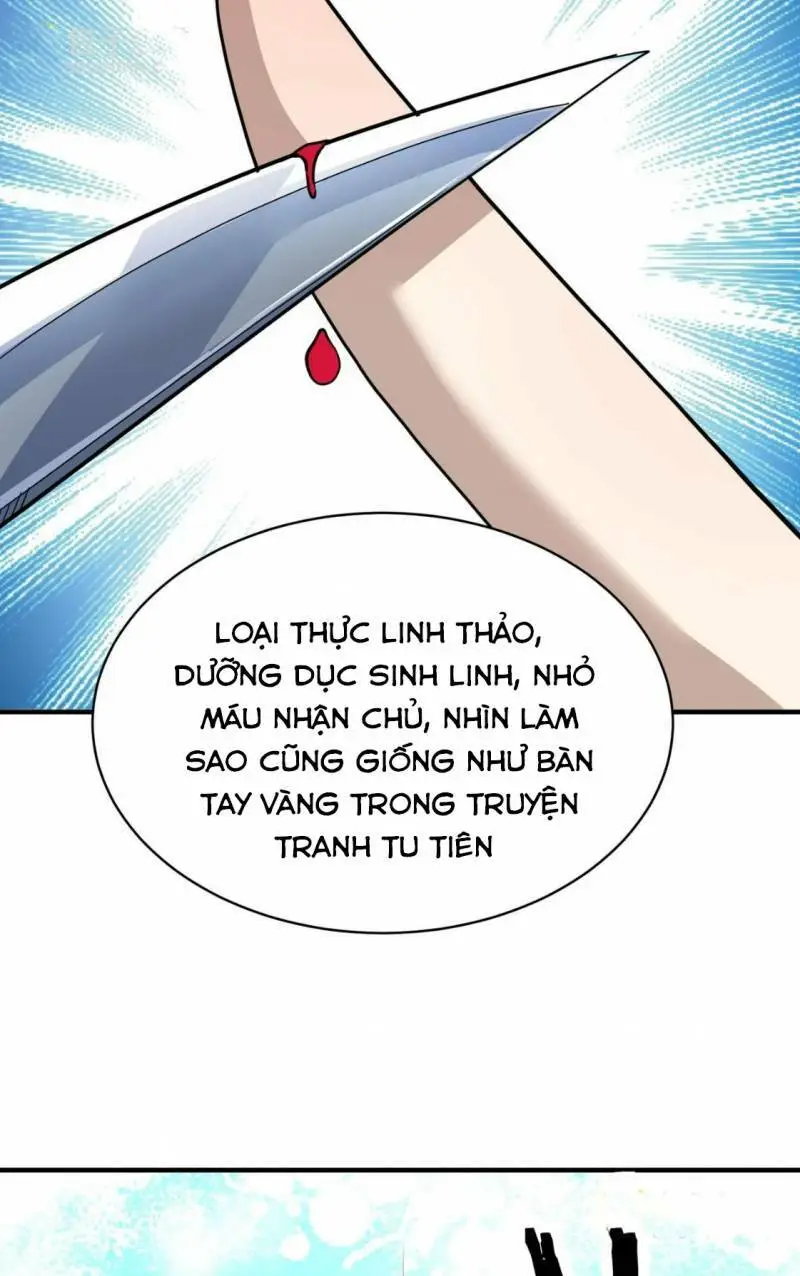 Chapter 41