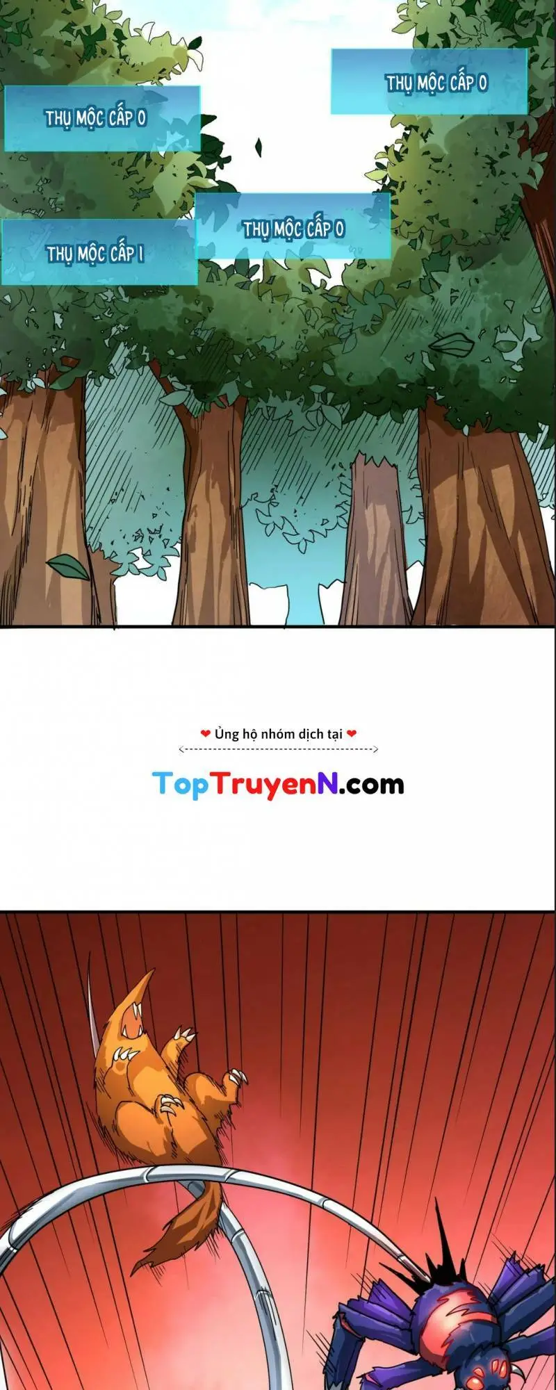 Chapter 41