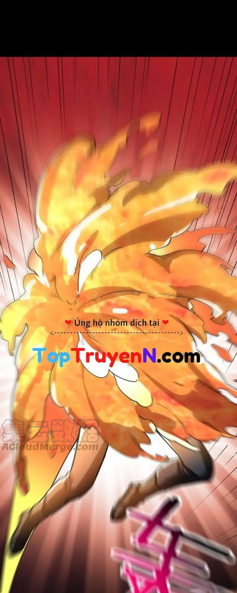 Chapter 40