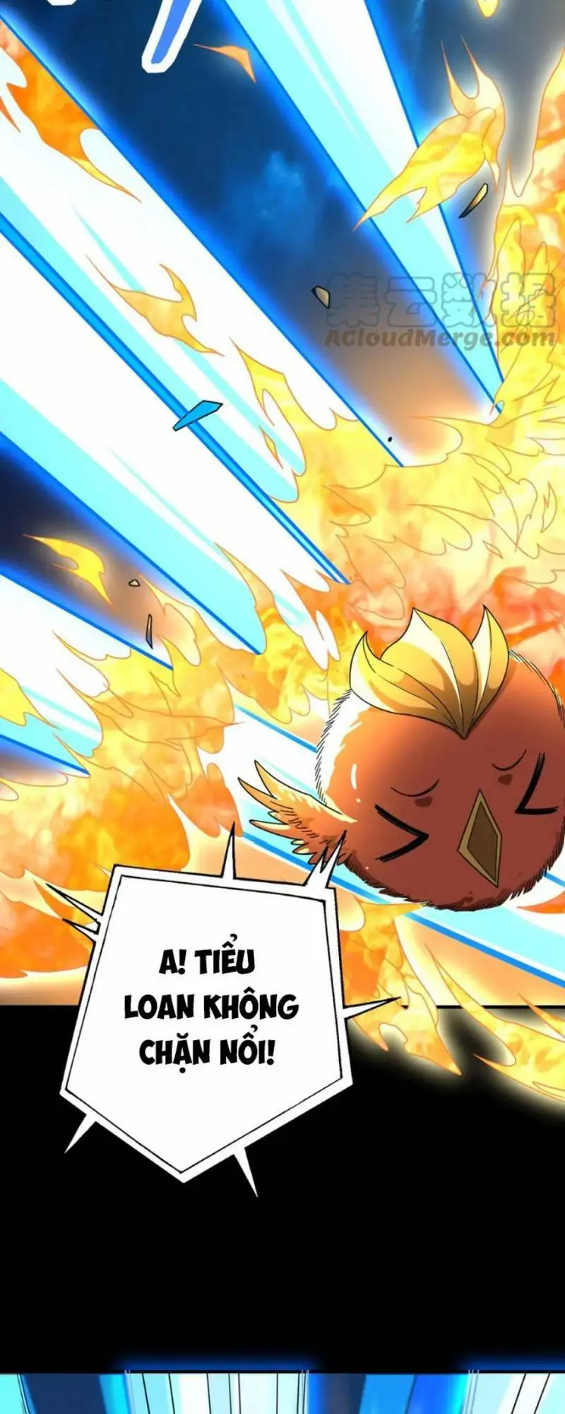 Chapter 39