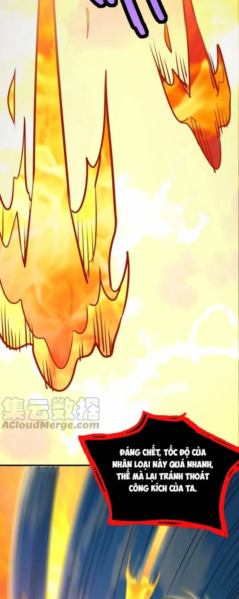 Chapter 39