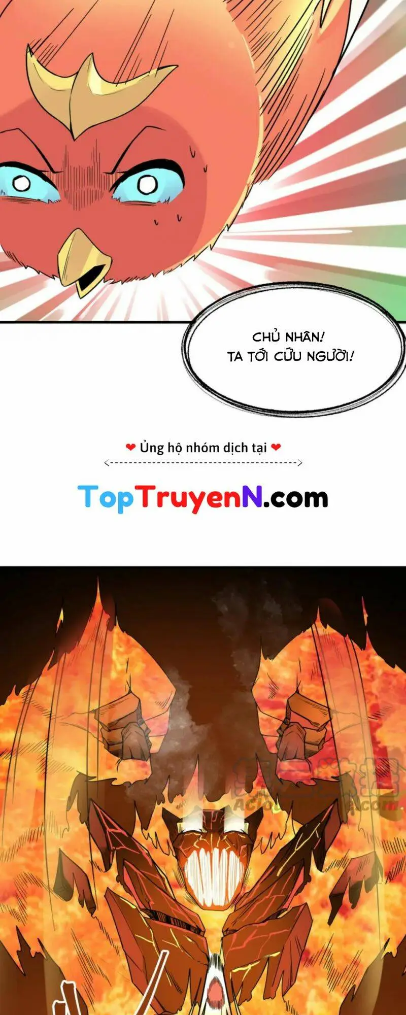 Chapter 36
