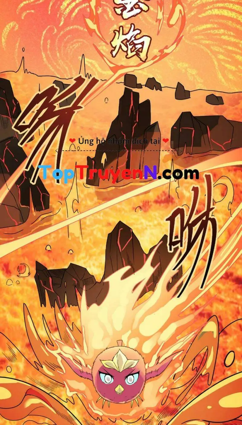 Chapter 33