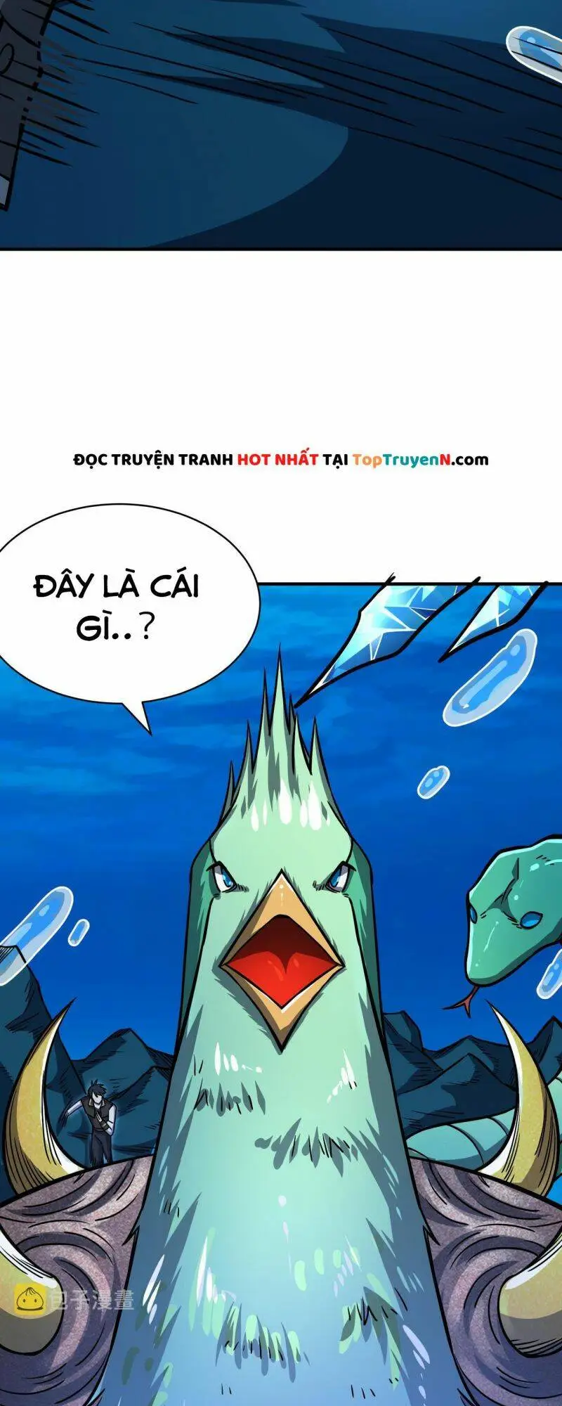 Chapter 29