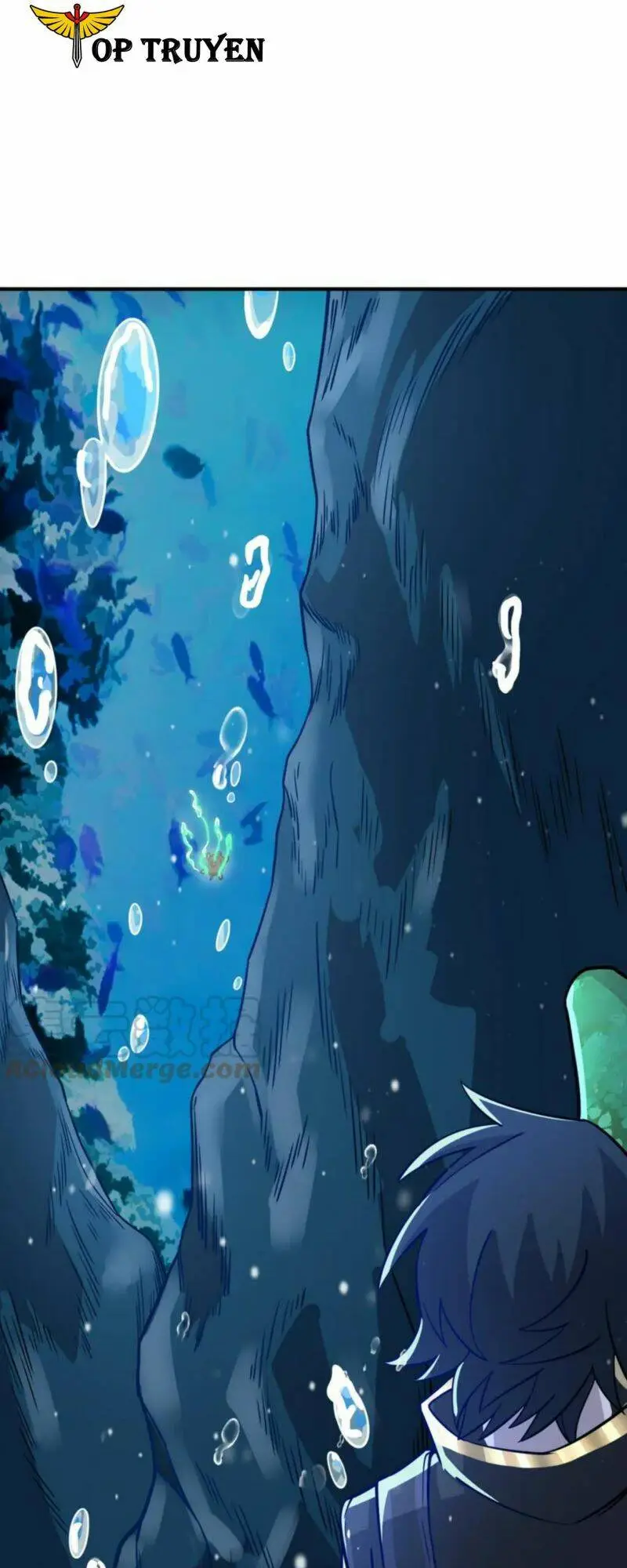 Chapter 28