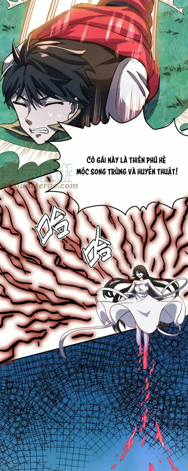 Chapter 25