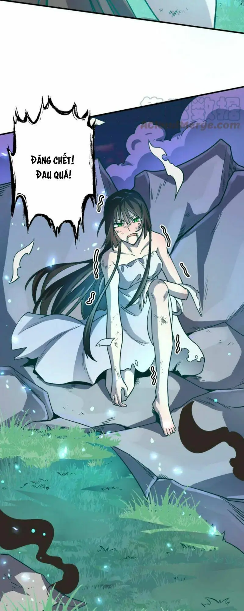 Chapter 25