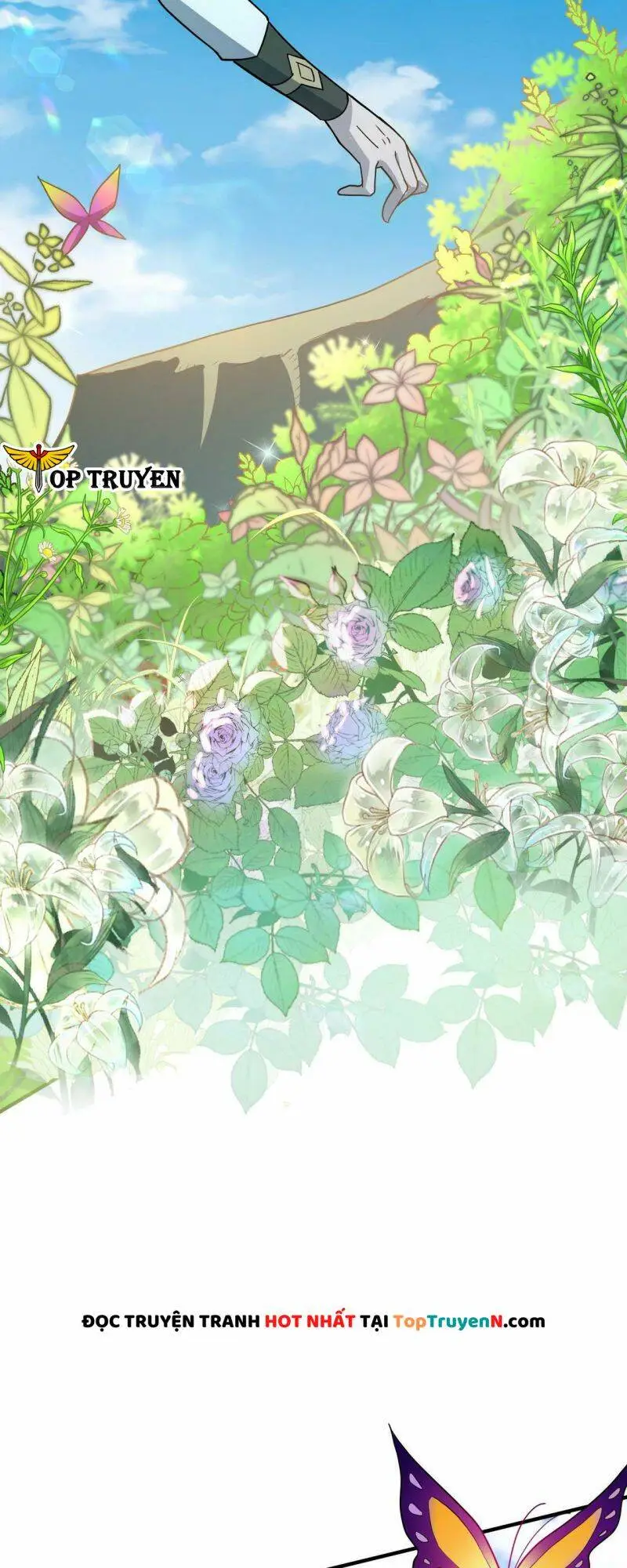 Chapter 24