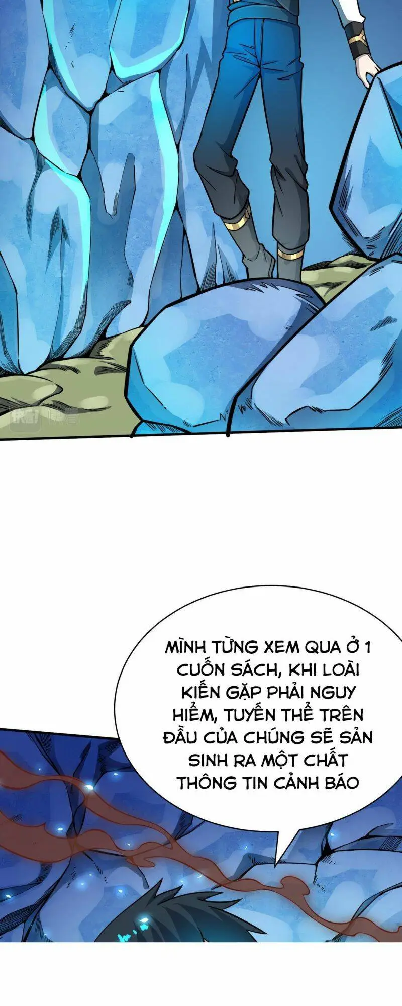 Chapter 21