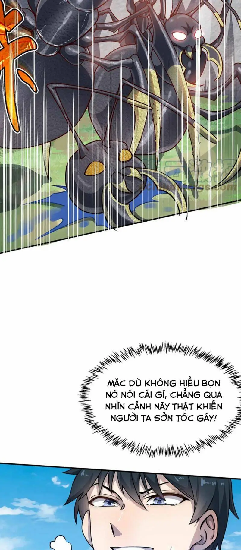 Chapter 20