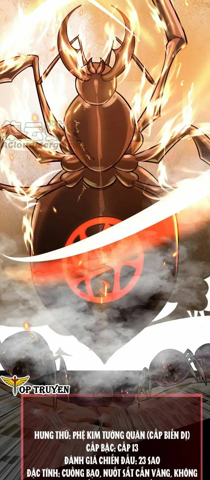 Chapter 20