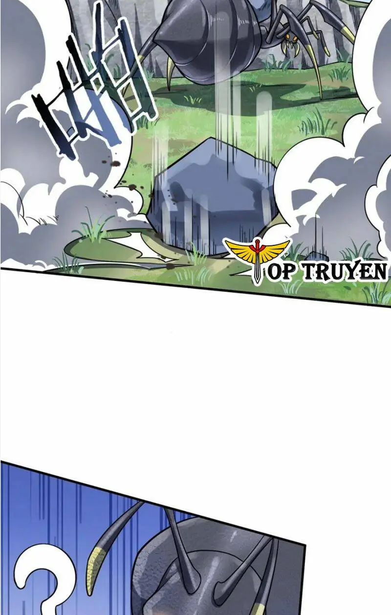 Chapter 20