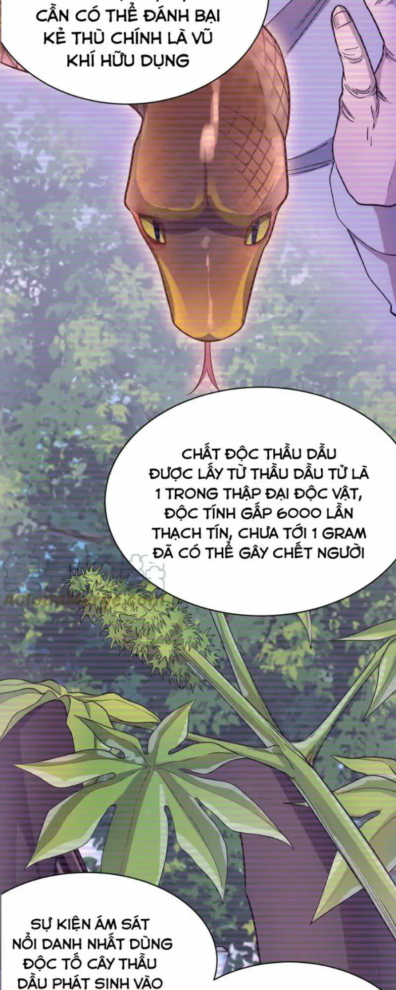 Chapter 19