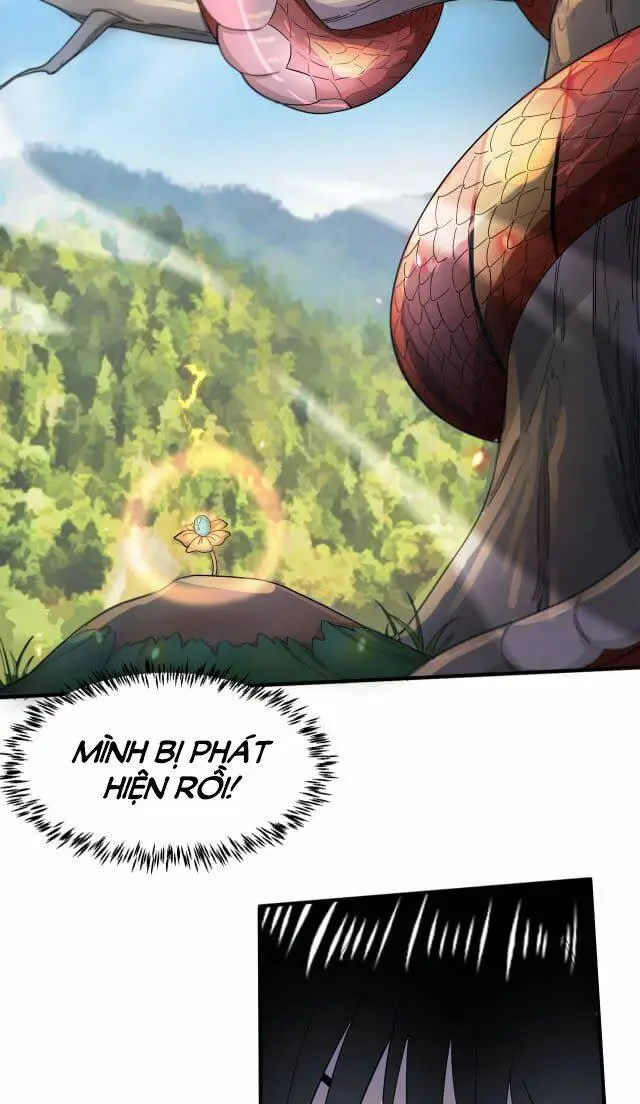 Chapter 5