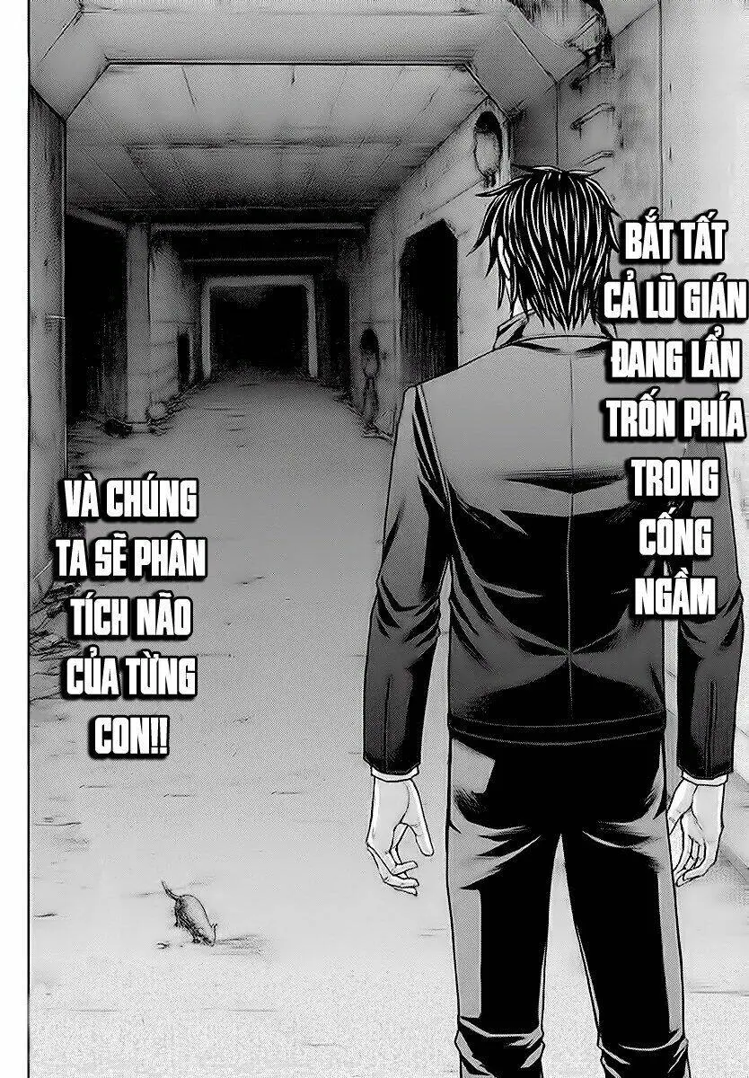 Chapter 175