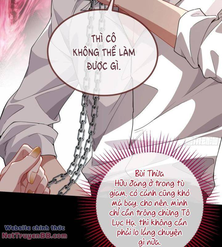 Chapter 590