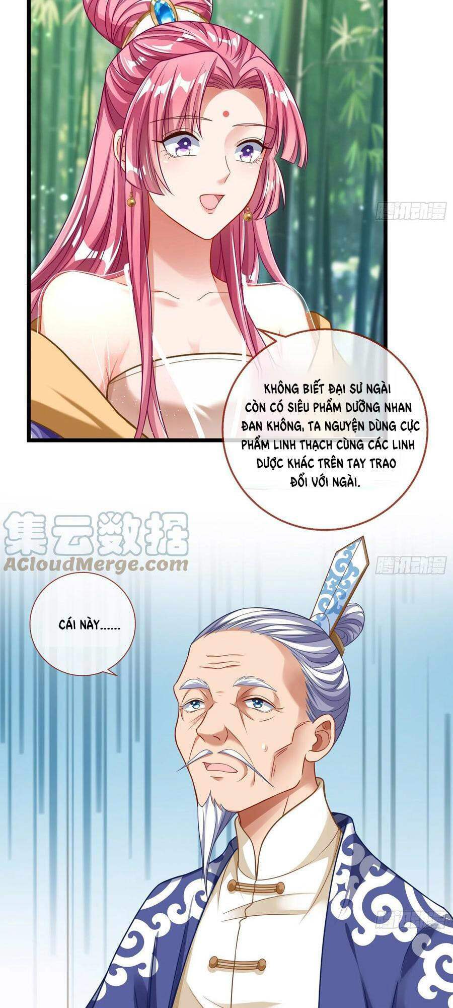 Chapter 482