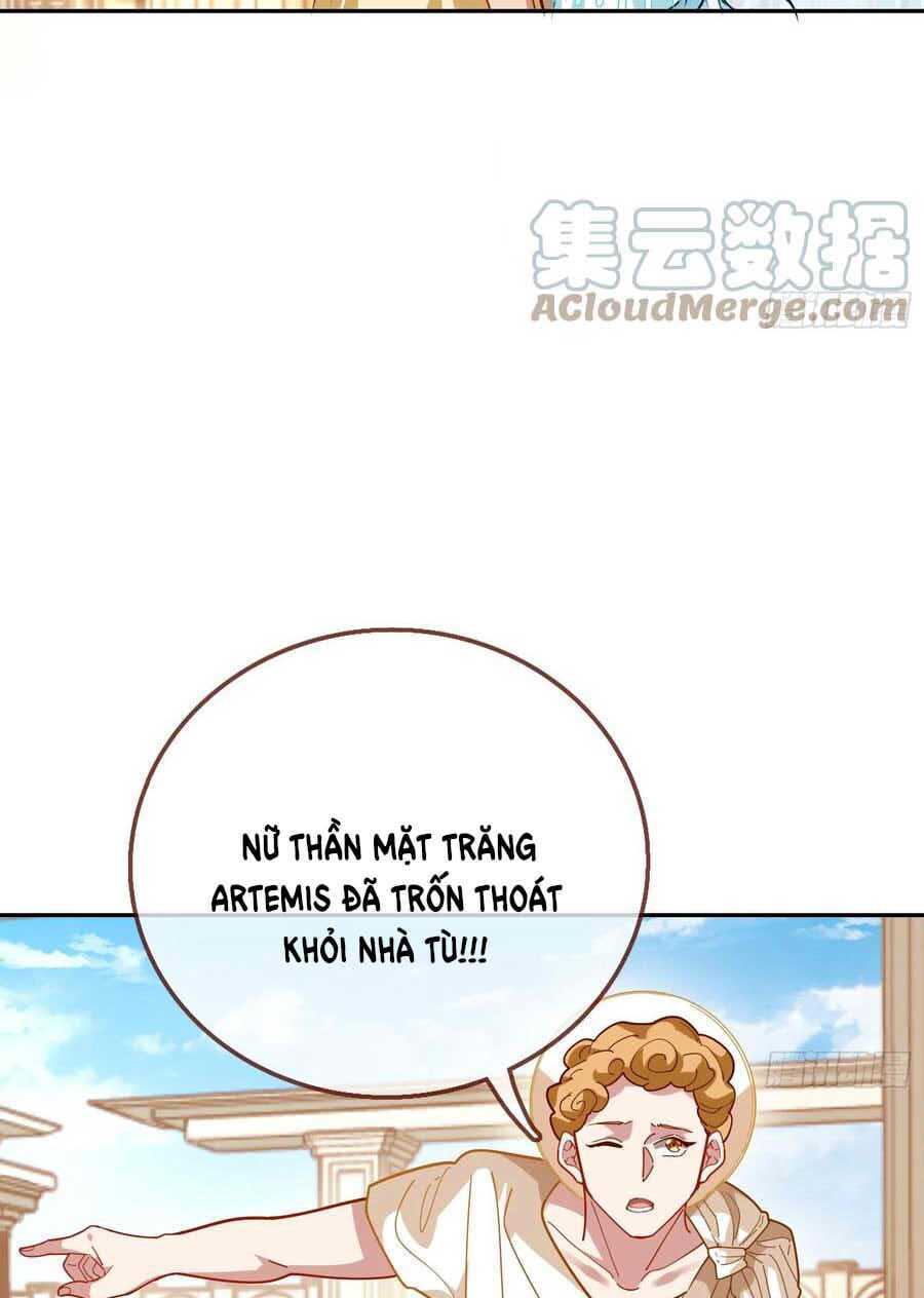 Chapter 455