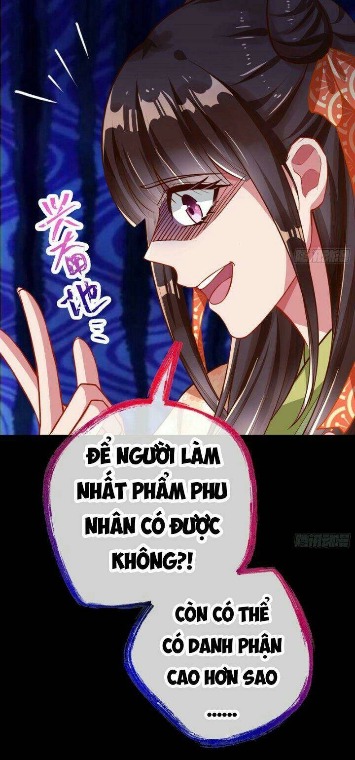 Chapter 165