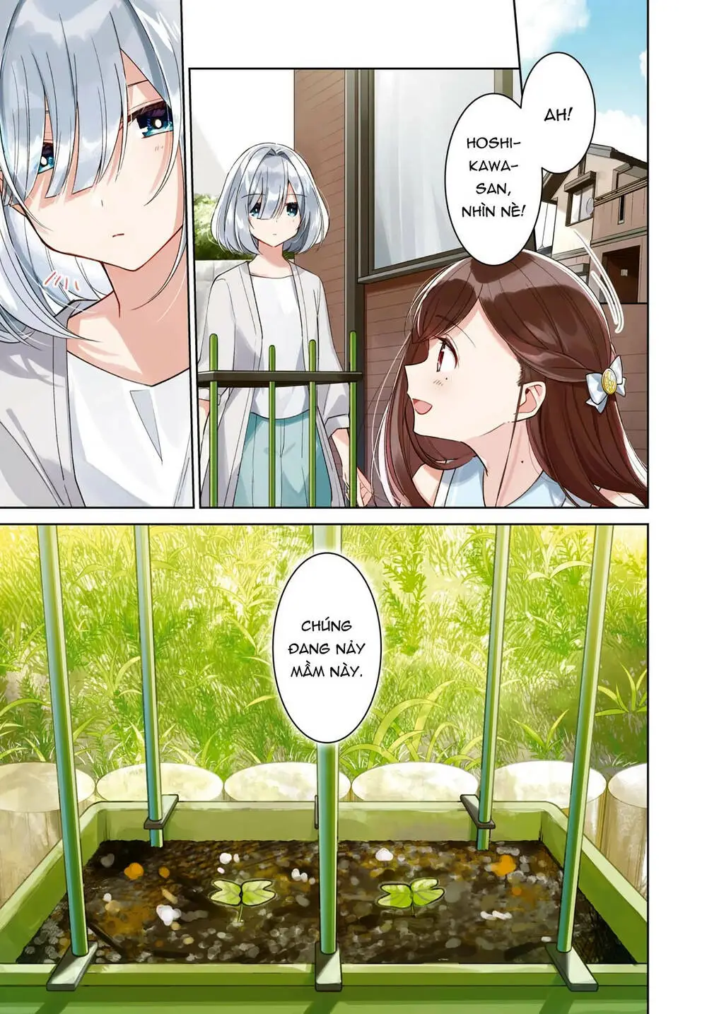 Chapter 11