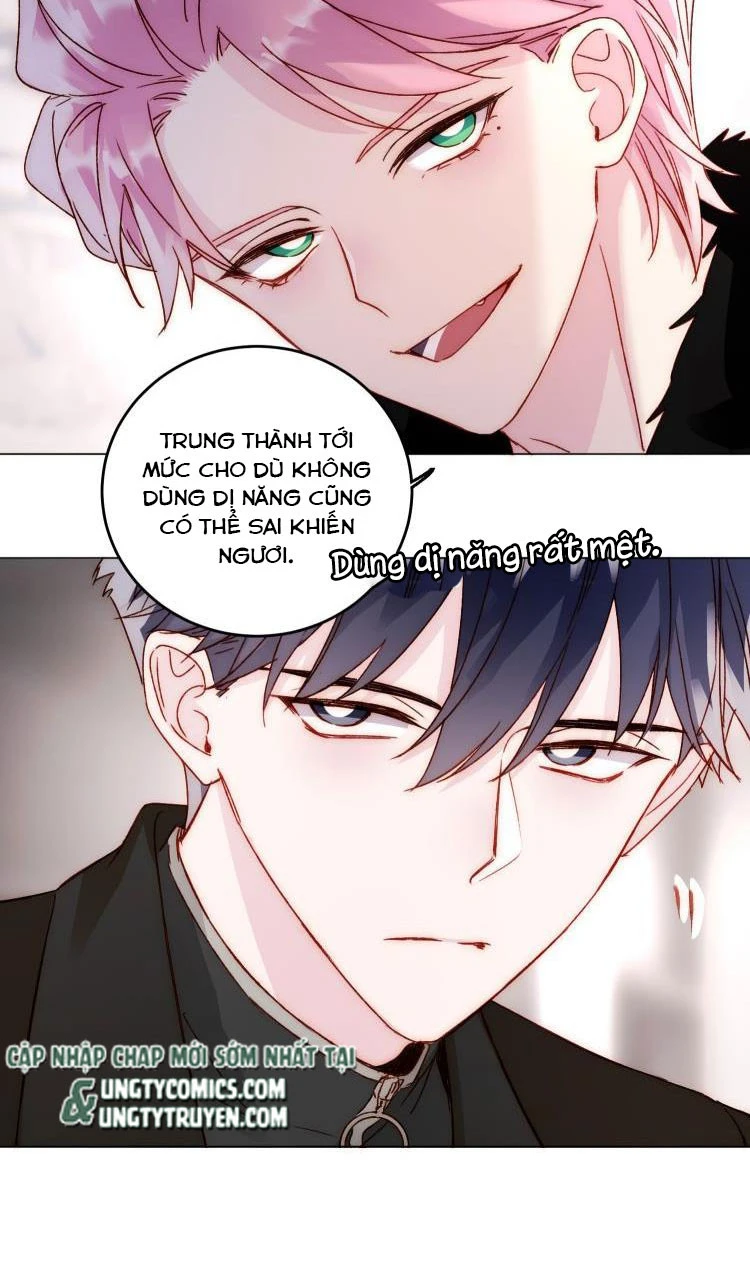 Chapter 48