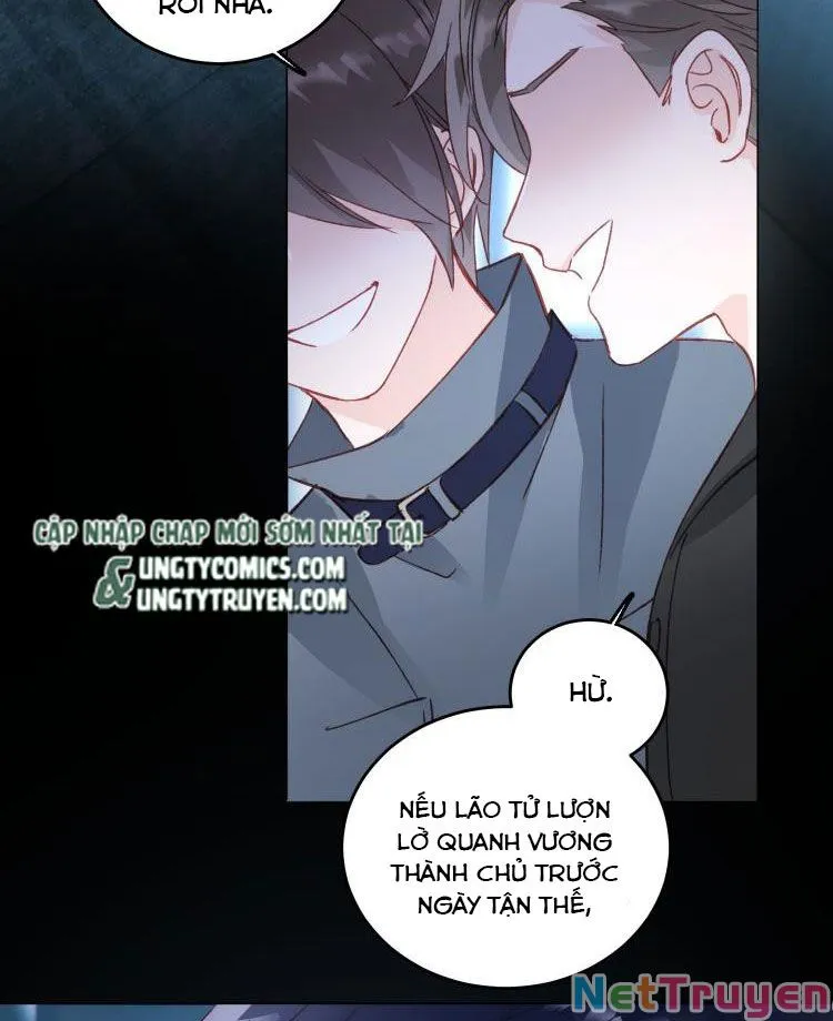 Chapter 46