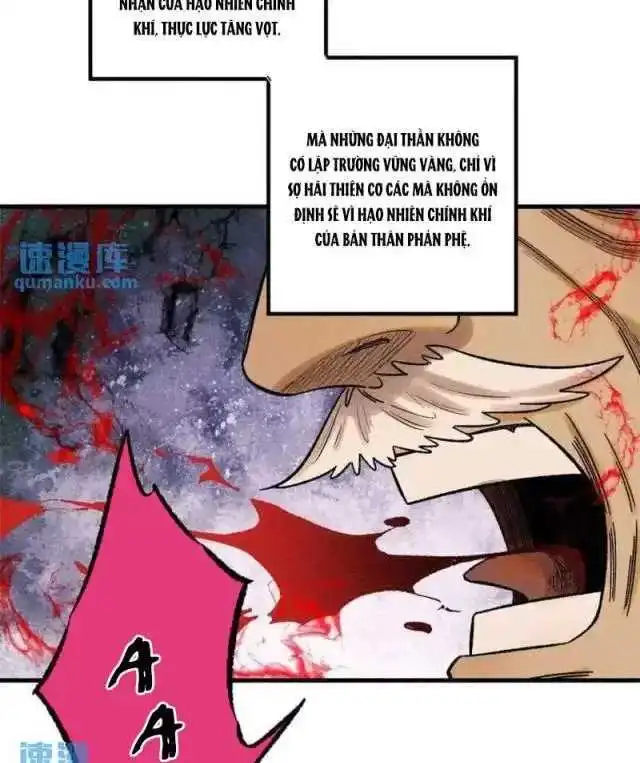 Chapter 51
