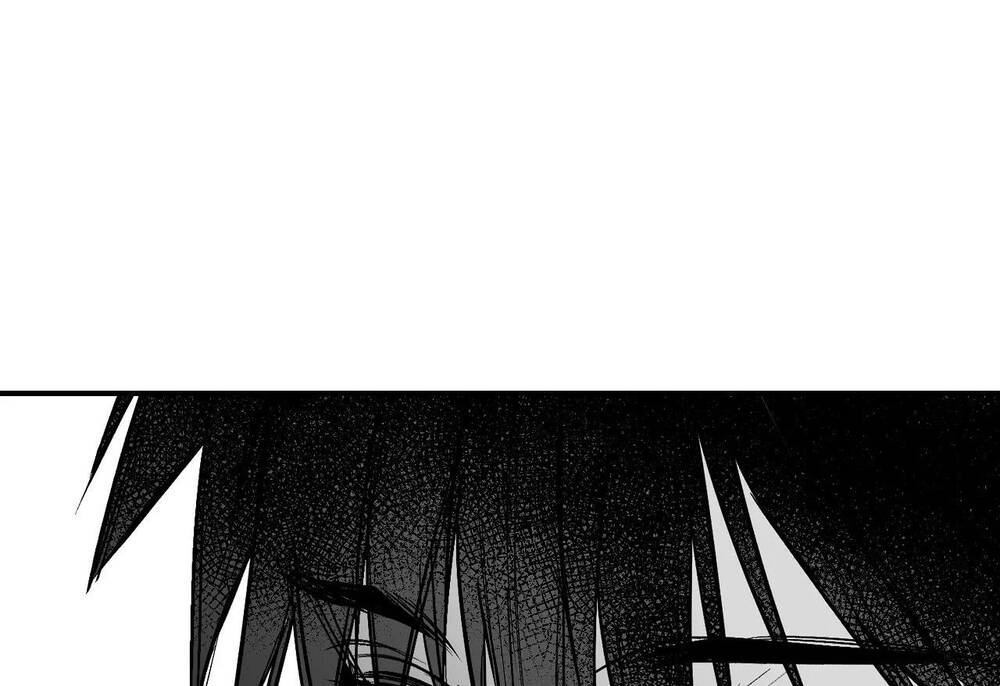 Chapter 95