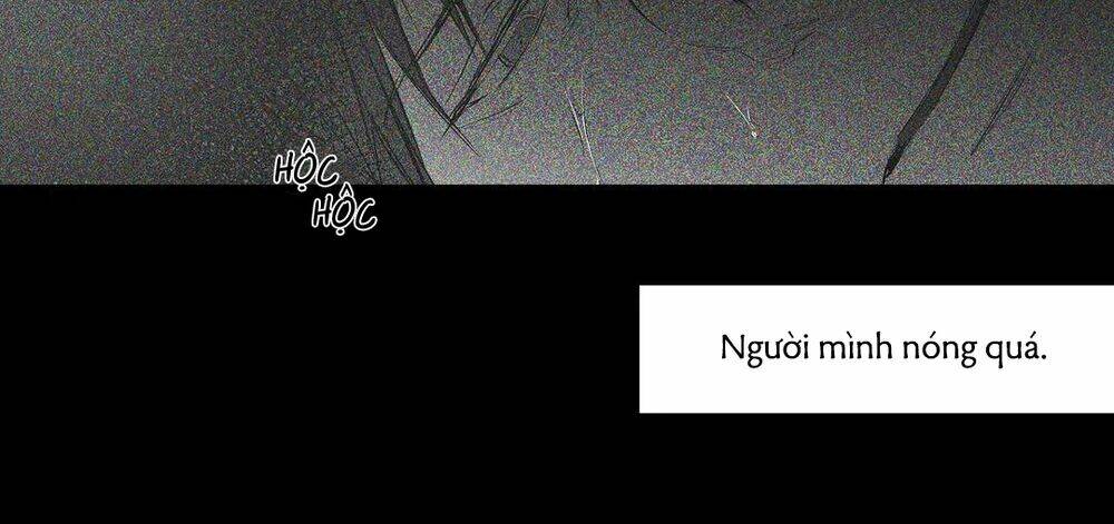 Chapter 53