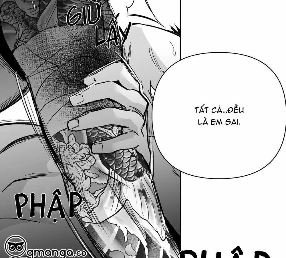 Chapter 52