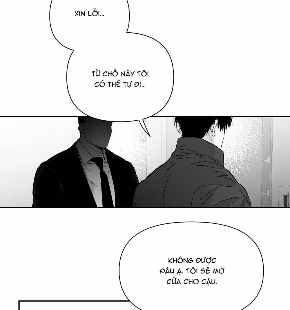 Chapter 46