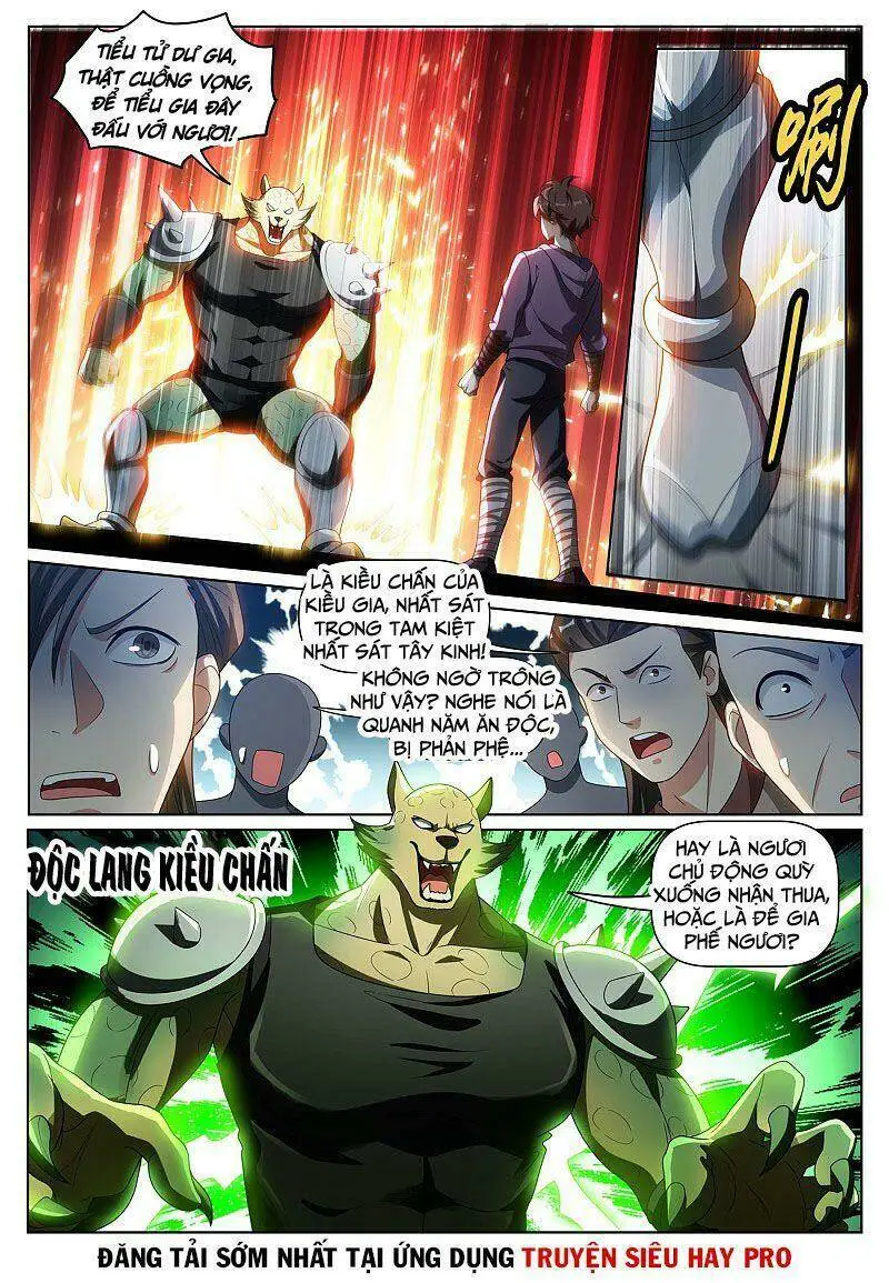 Chapter 281