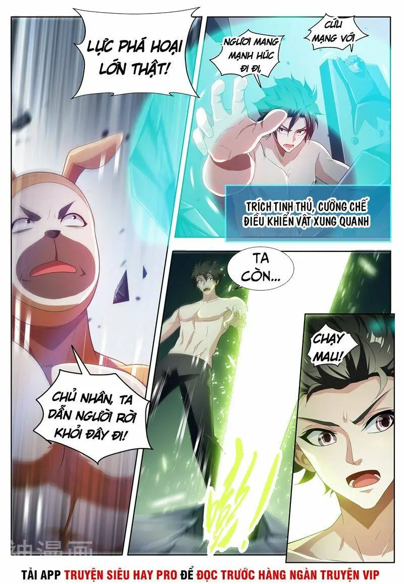 Chapter 194