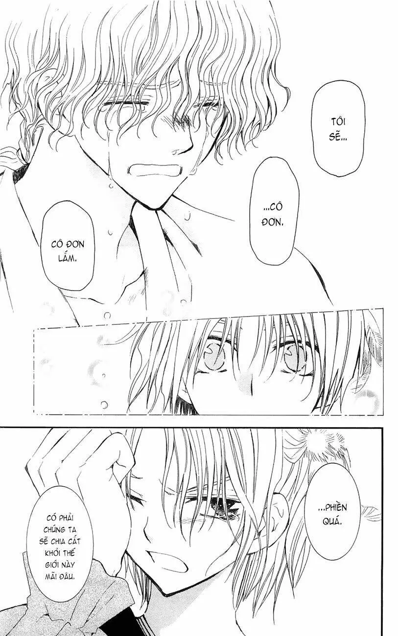 Chapter 14