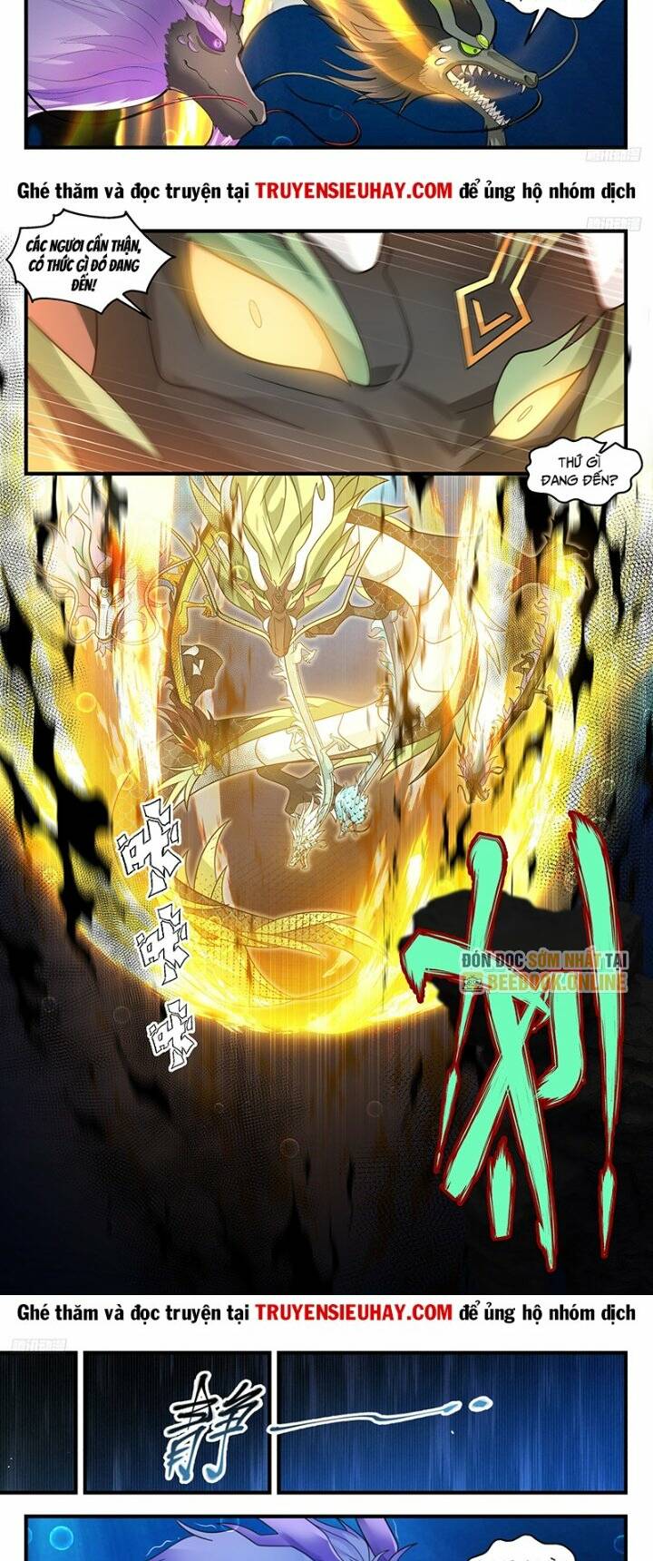 Chapter 3225