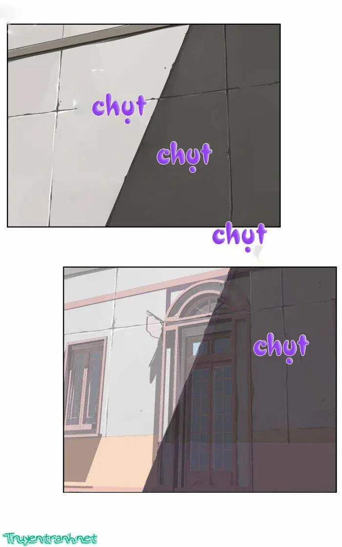 Chapter 14