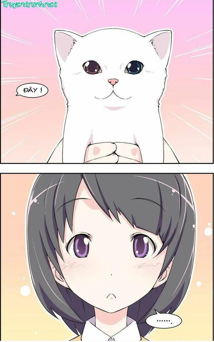 Chapter 10