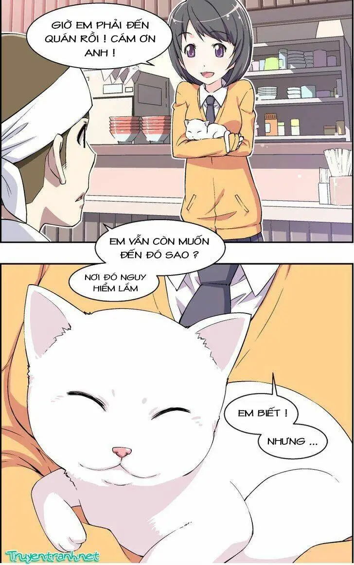 Chapter 10
