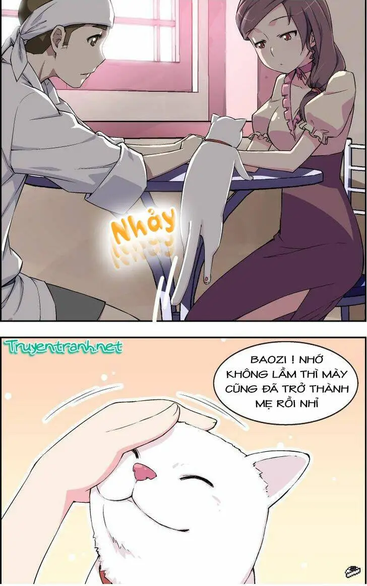 Chapter 8