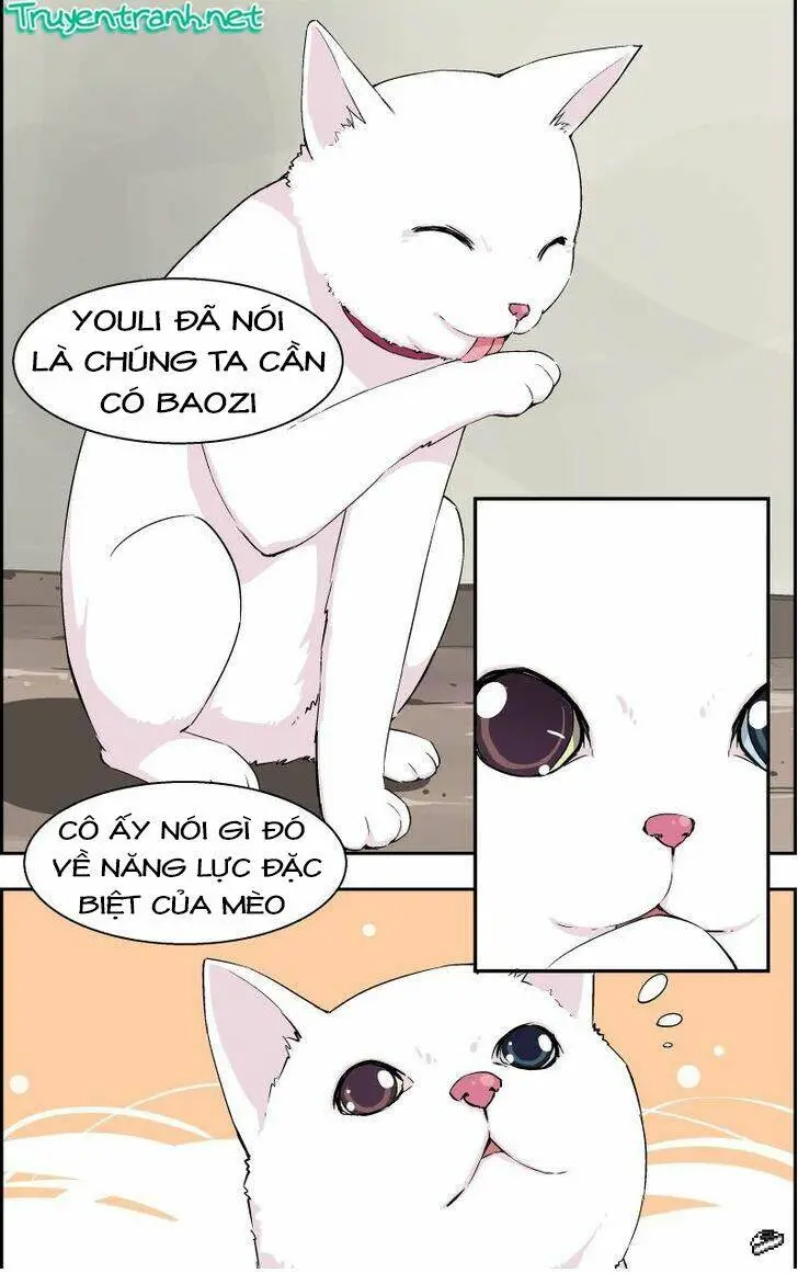 Chapter 7