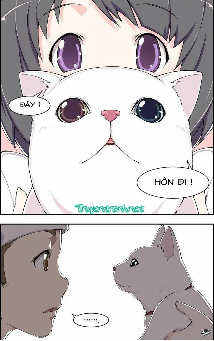 Chapter 7