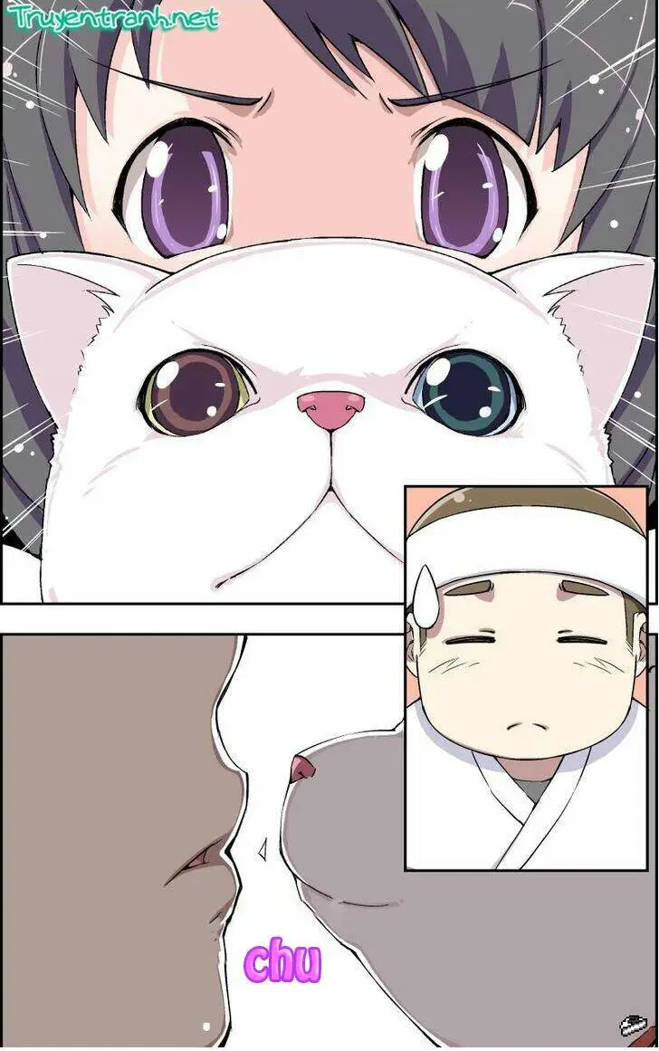 Chapter 7