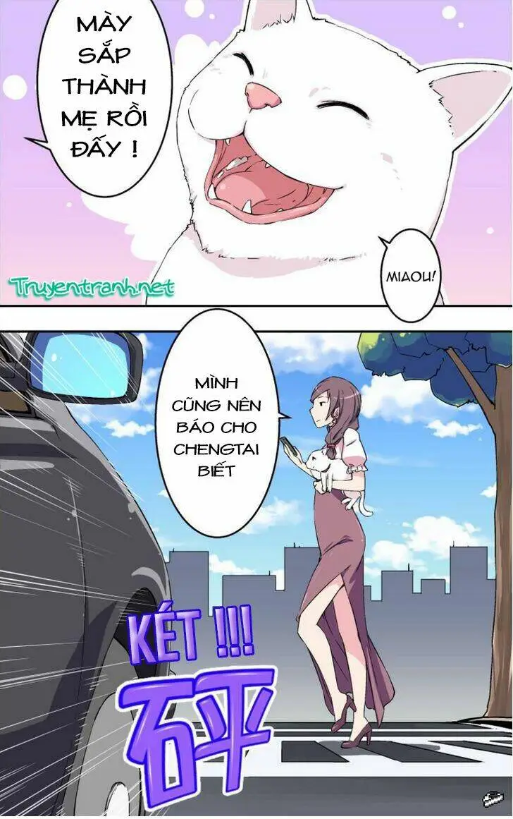 Chapter 6