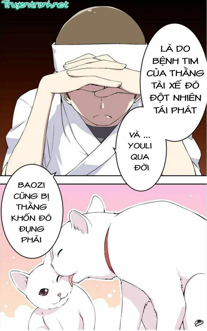 Chapter 6