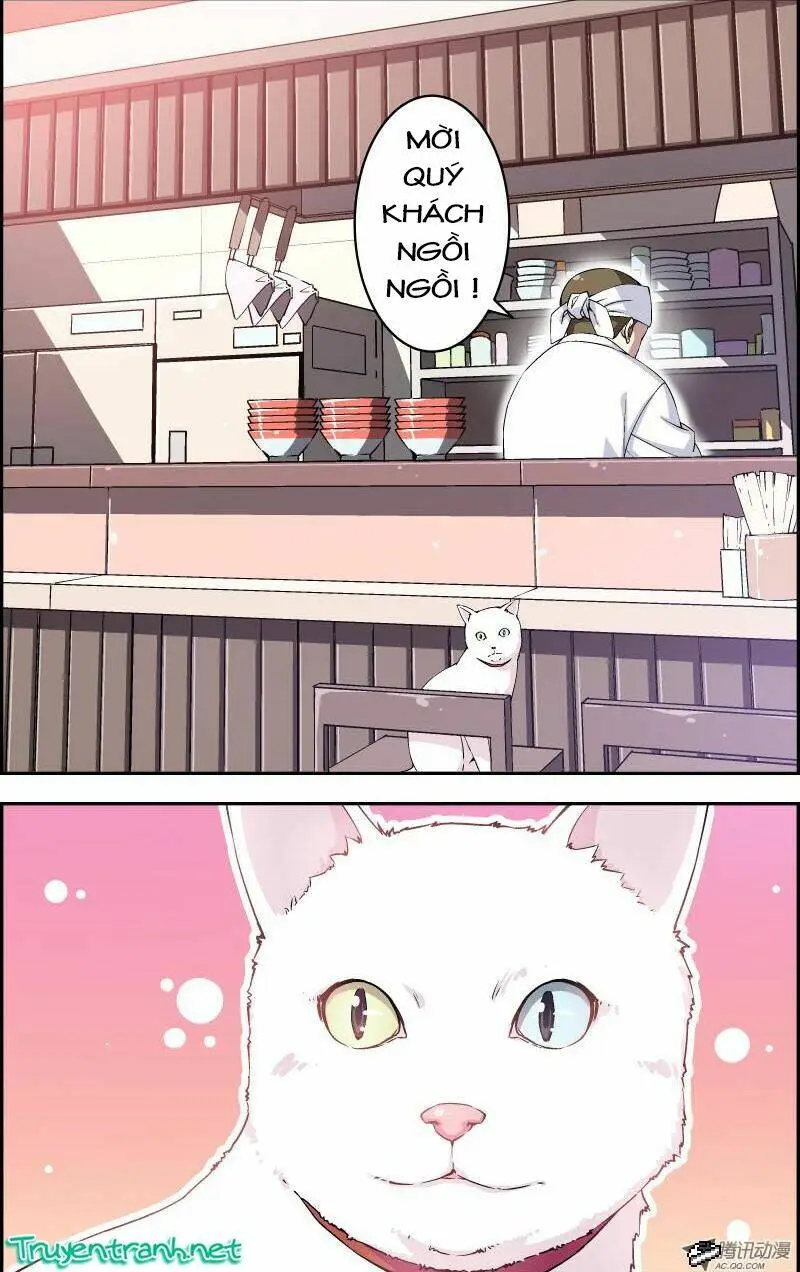 Chapter 4