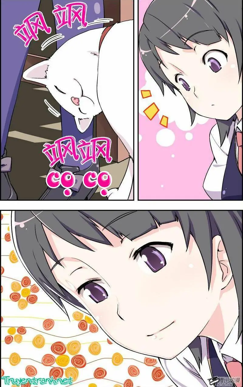Chapter 4