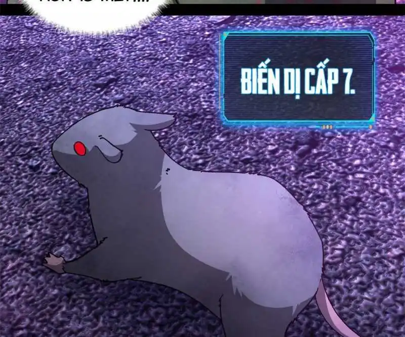 Chapter 94